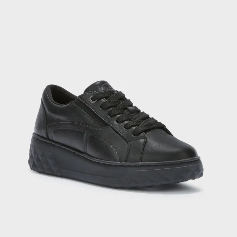urban elastic