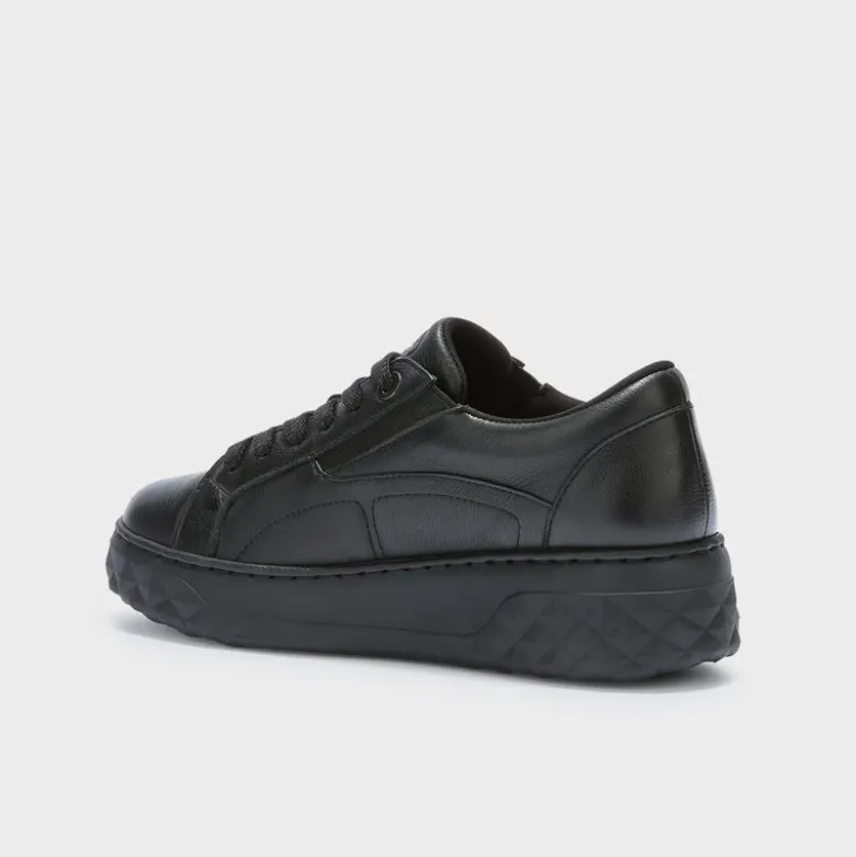 urban elastic
