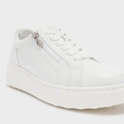 urban zip