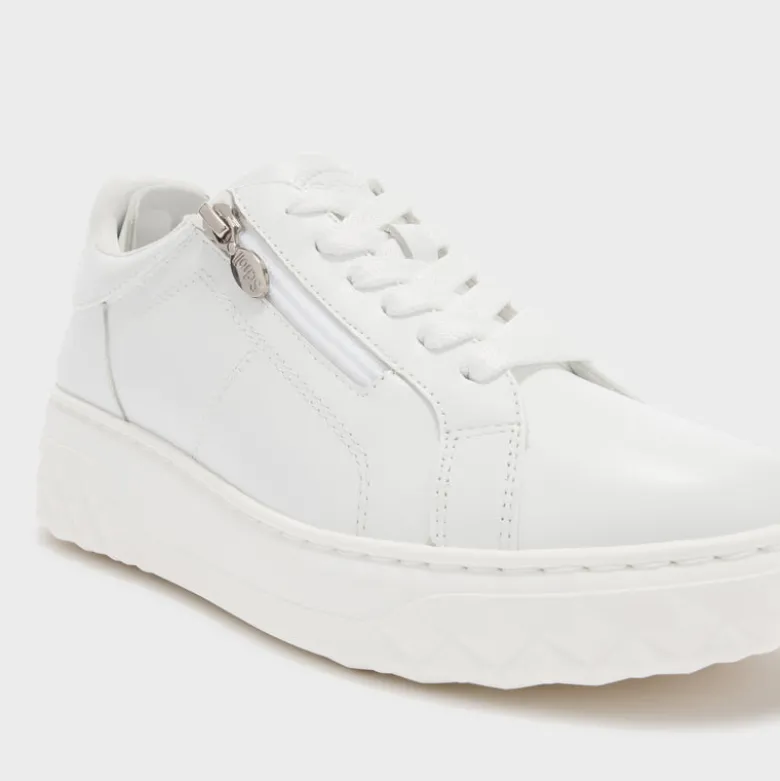 urban zip
